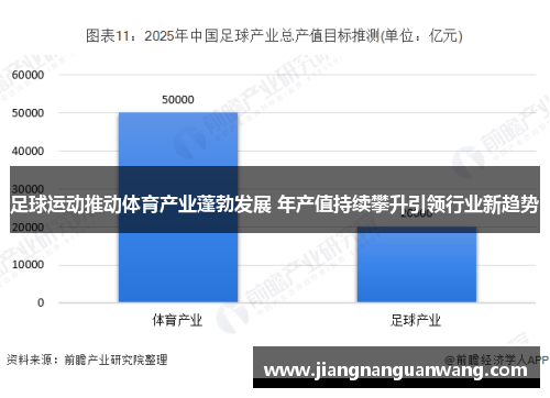 足球运动推动体育产业蓬勃发展 年产值持续攀升引领行业新趋势