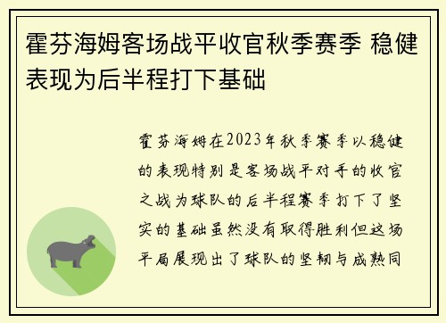 霍芬海姆客场战平收官秋季赛季 稳健表现为后半程打下基础