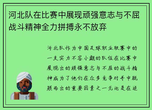 河北队在比赛中展现顽强意志与不屈战斗精神全力拼搏永不放弃