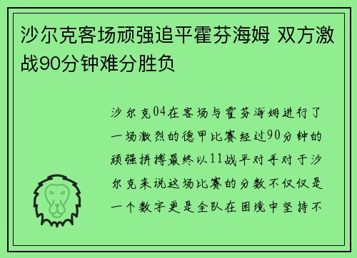 沙尔克客场顽强追平霍芬海姆 双方激战90分钟难分胜负
