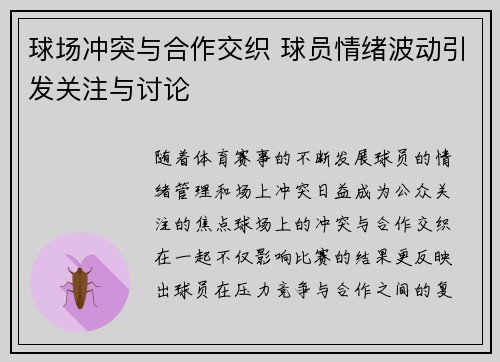 球场冲突与合作交织 球员情绪波动引发关注与讨论